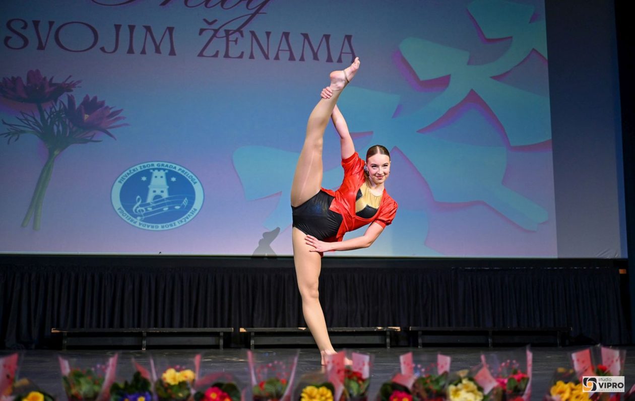 studio VIPRO studio VIPRO