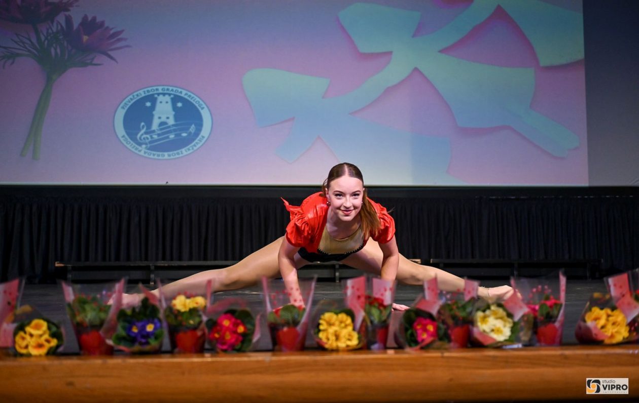 studio VIPRO studio VIPRO