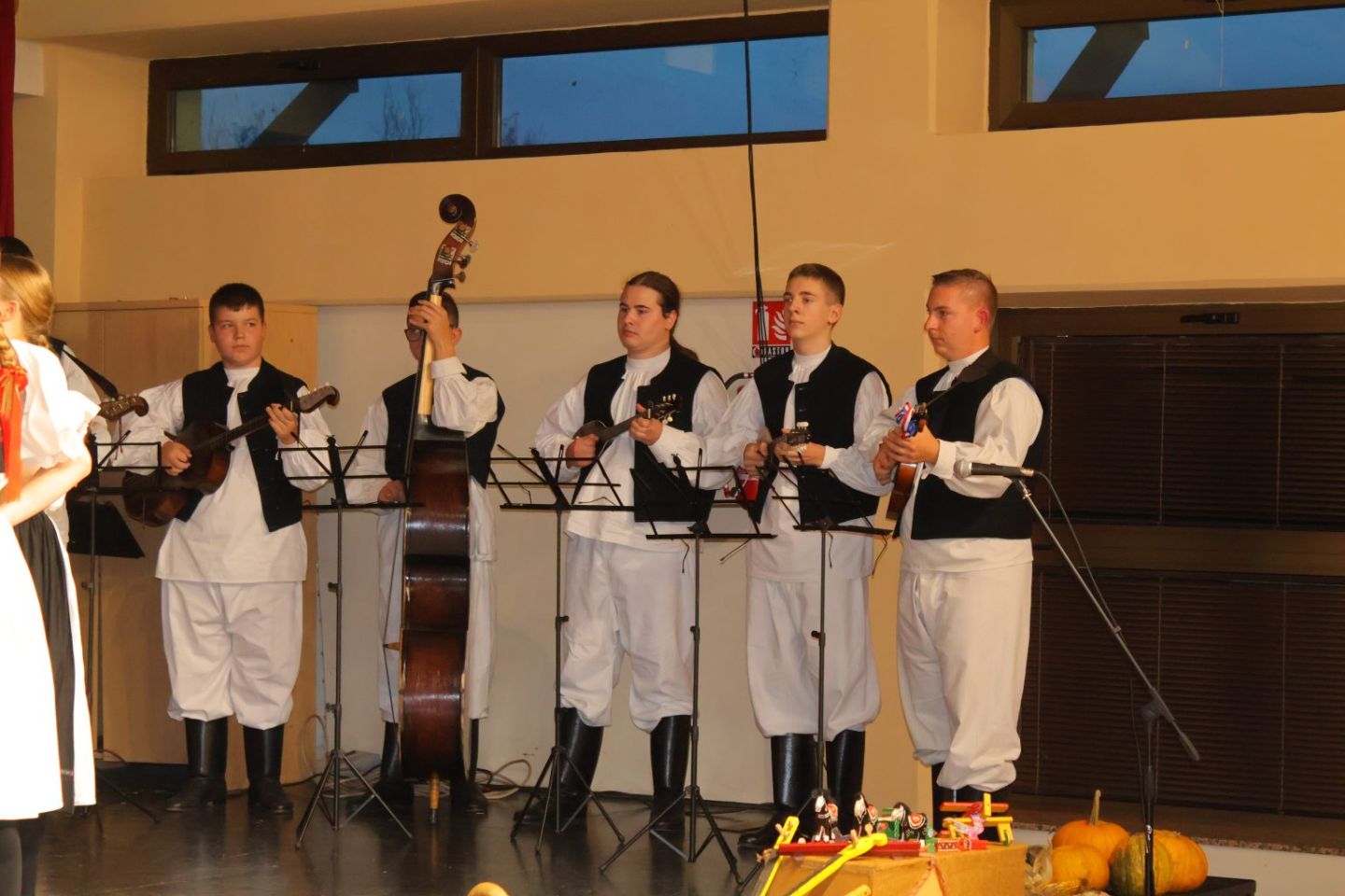 DJEČJI FOLKLORNI SUSRETI Rasplesani mališani iz Međimurja osvojili Žiškovec! (20)