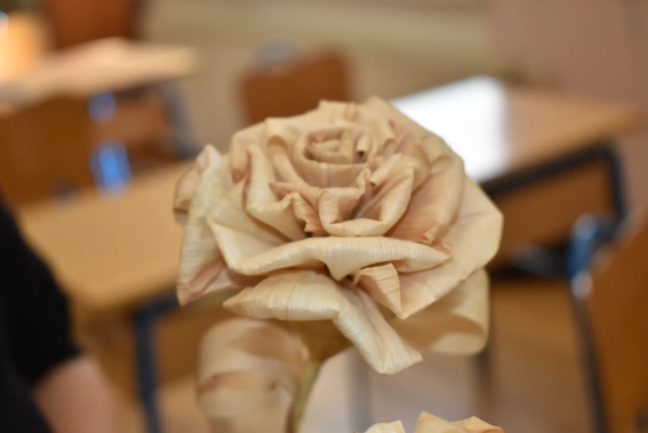 DK_kristanovec_Luscije (6) DK_kristanovec_Luscije (6)