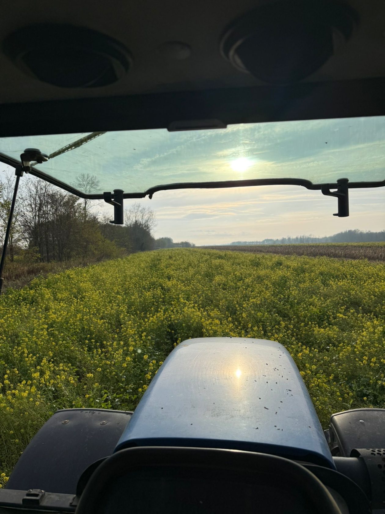 DOMINIK MURKOVIĆ IZ NOVAKOVCA (6)