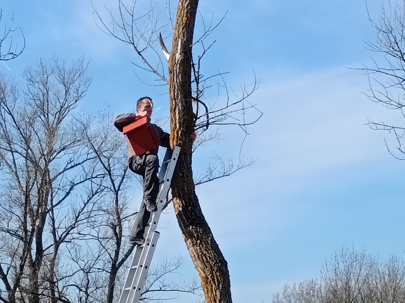 DONJA DUBRAVA Učenici izradili sunčališta za kornjače u sklopu projekta „Zajednica škola“ (2)