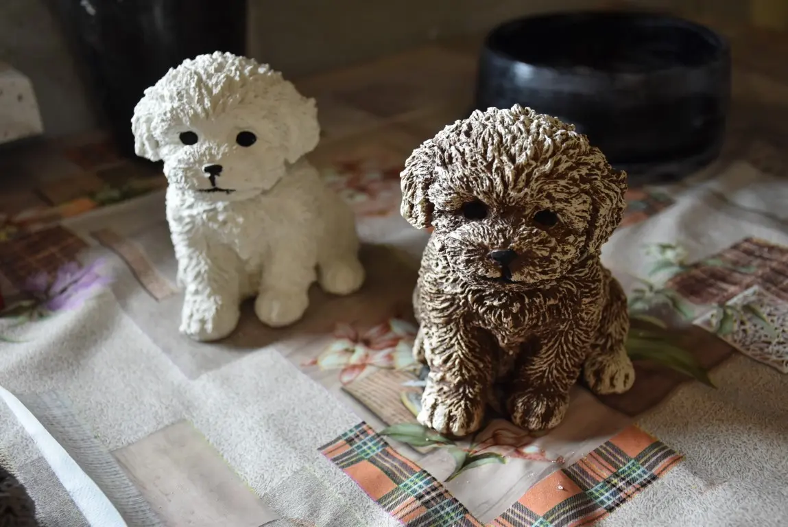 DSC_0028 (Medium) DSC_0028 (Medium)