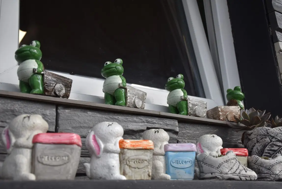 DSC_0038 (Medium) DSC_0038 (Medium)