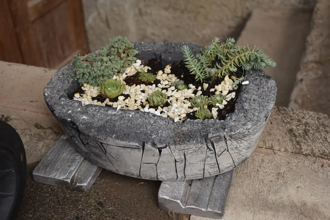 DSC_0039 (Medium) DSC_0039 (Medium)