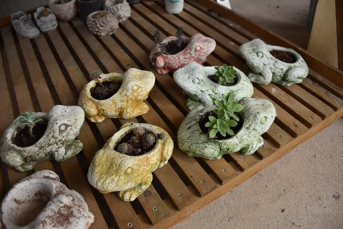 DSC_0042 (Medium) DSC_0042 (Medium)