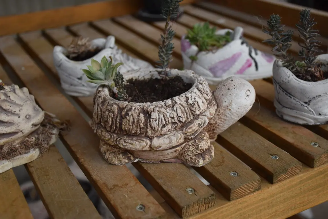 DSC_0045 (Medium) DSC_0045 (Medium)