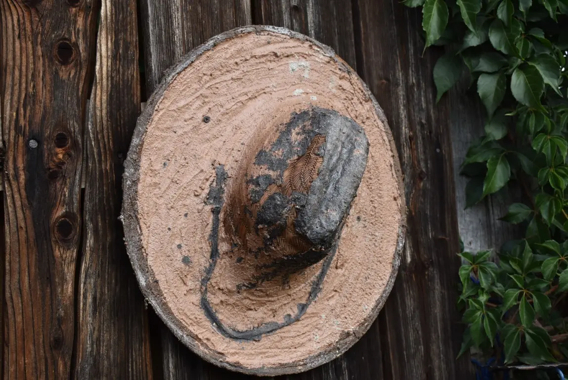 DSC_0083 (Medium) DSC_0083 (Medium)