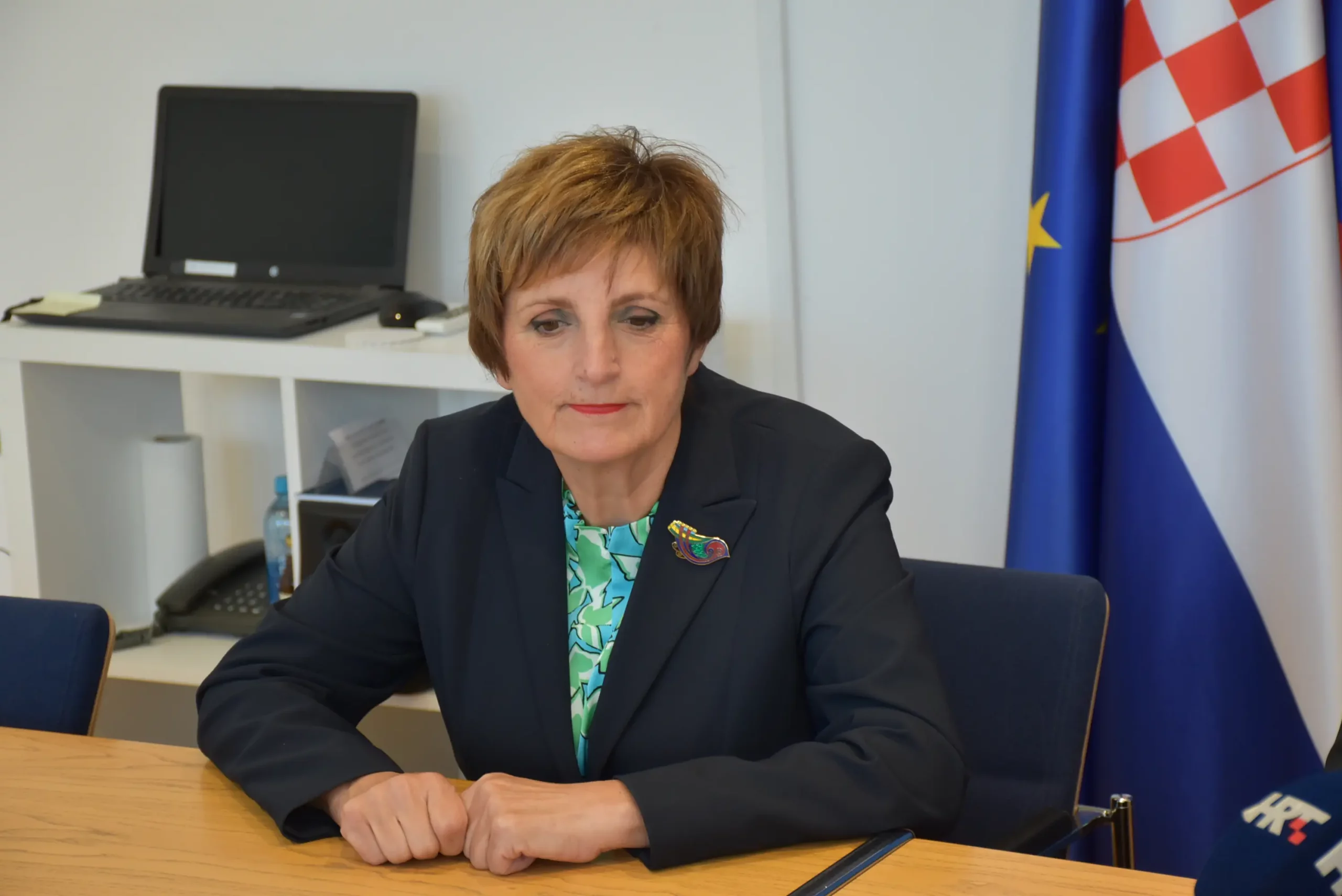 Sonja Tošić Grlač Sonja Tošić Grlač