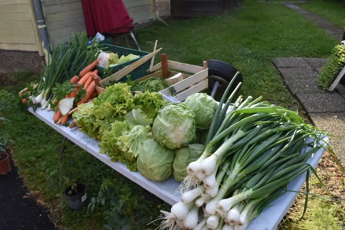 tržnica MurskoSredišće