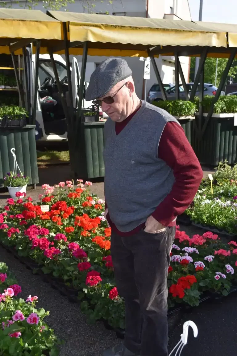 tržnica MurskoSredišće