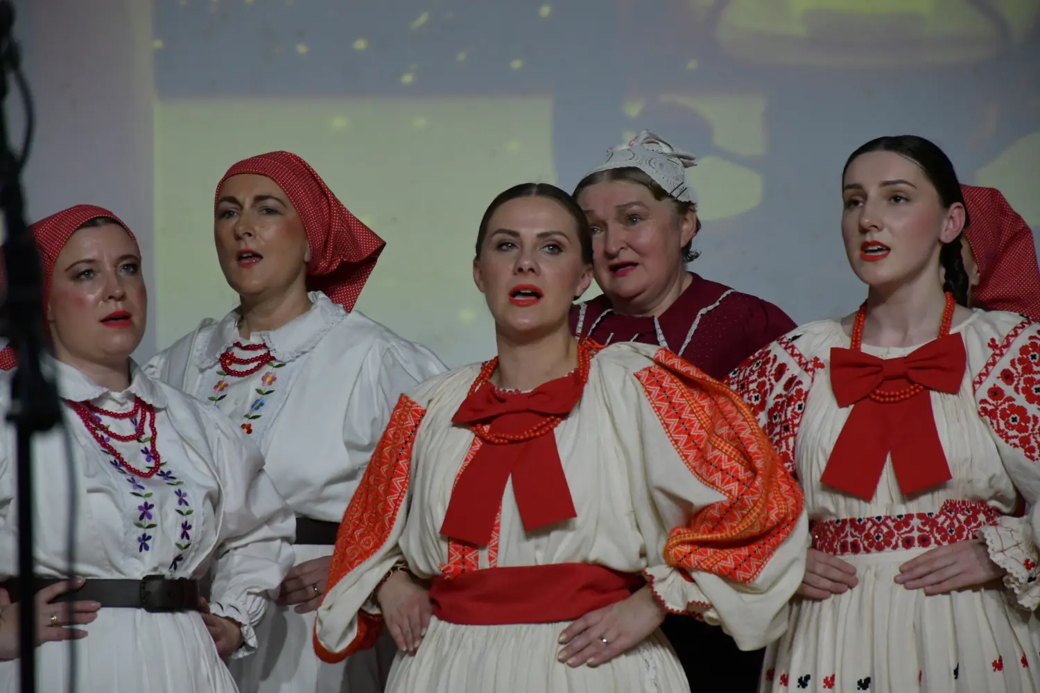 korak uz korak, ruku pod ruku (9)