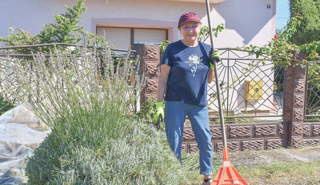 ĐURĐA HEMAR IZ CIRKOVLJANA (1)