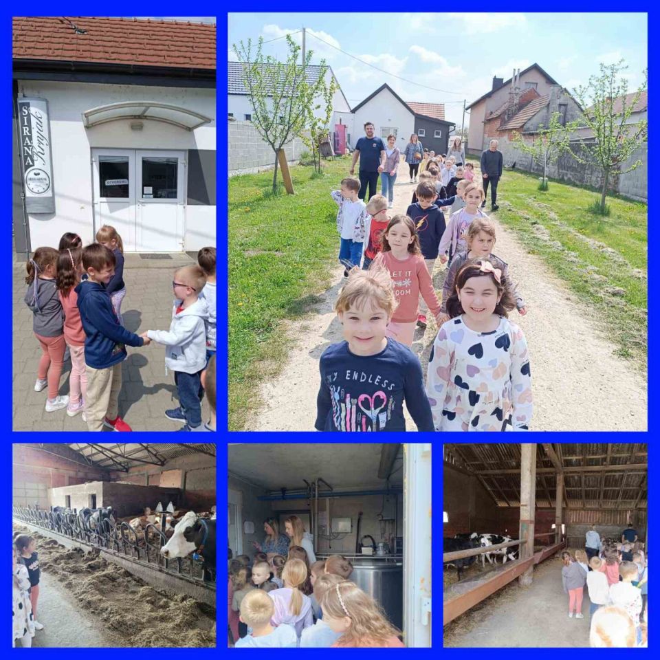 DV BELICA ‘Leptirići’ posjetili farmu i siranu obitelji Krnjak (1)