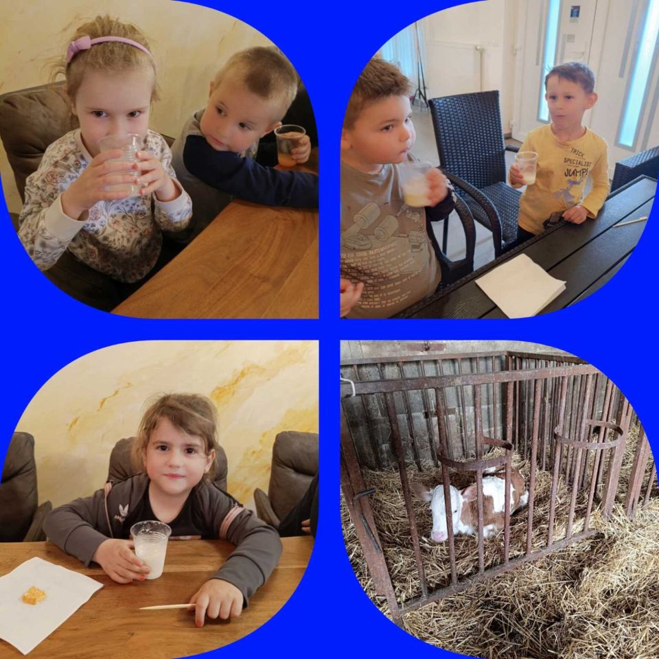 DV BELICA ‘Leptirići’ posjetili farmu i siranu obitelji Krnjak (2)