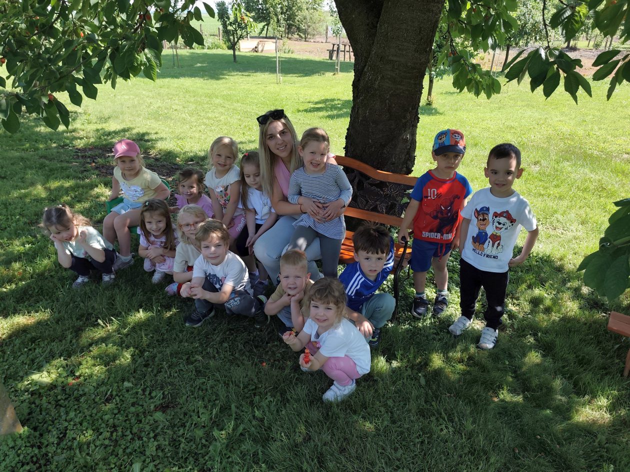 DV Belica trešnje (9)
