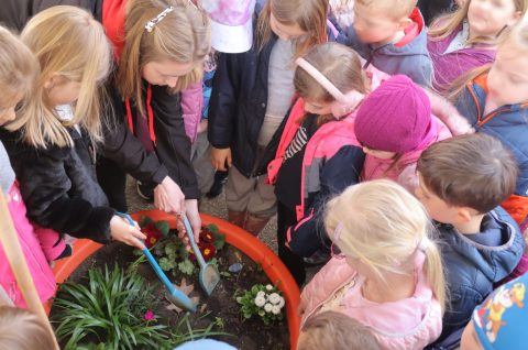 DV Cvrčak (11) DV Cvrčak (11)