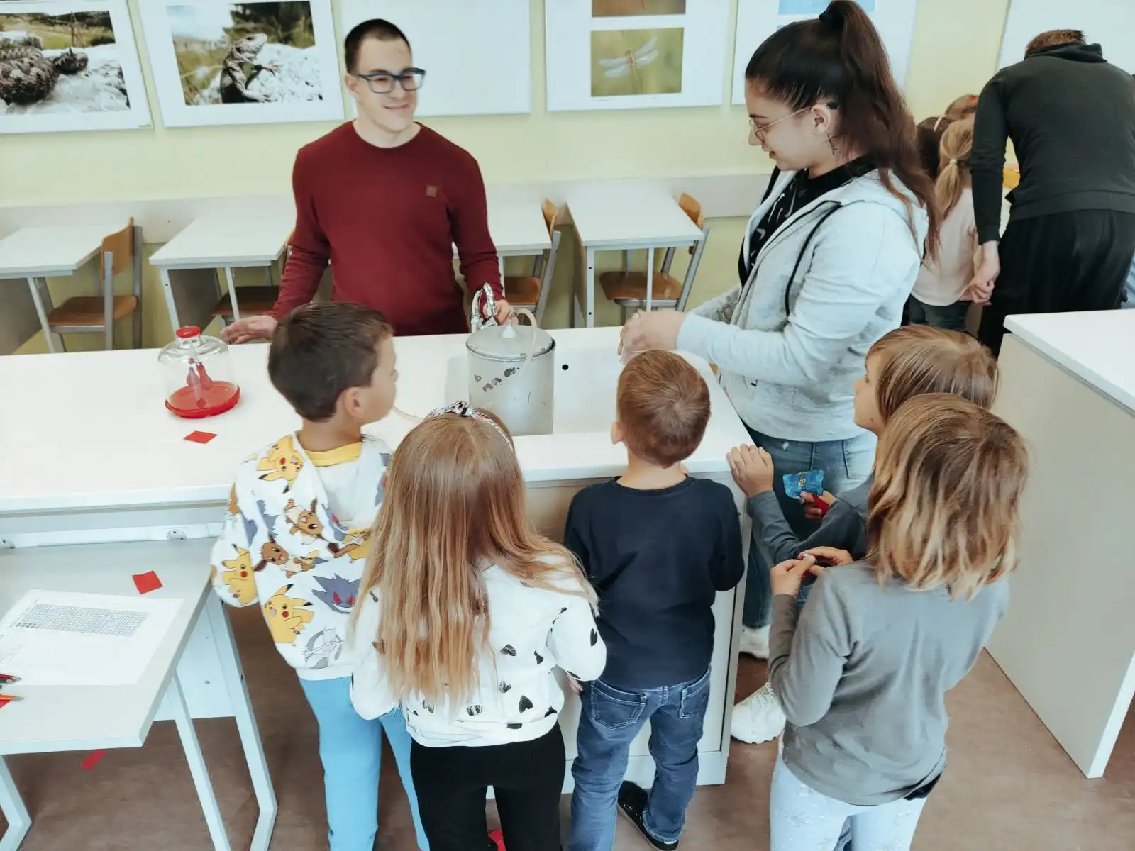 DV Cvrčak Čakovec (13) DV Cvrčak Čakovec (13)