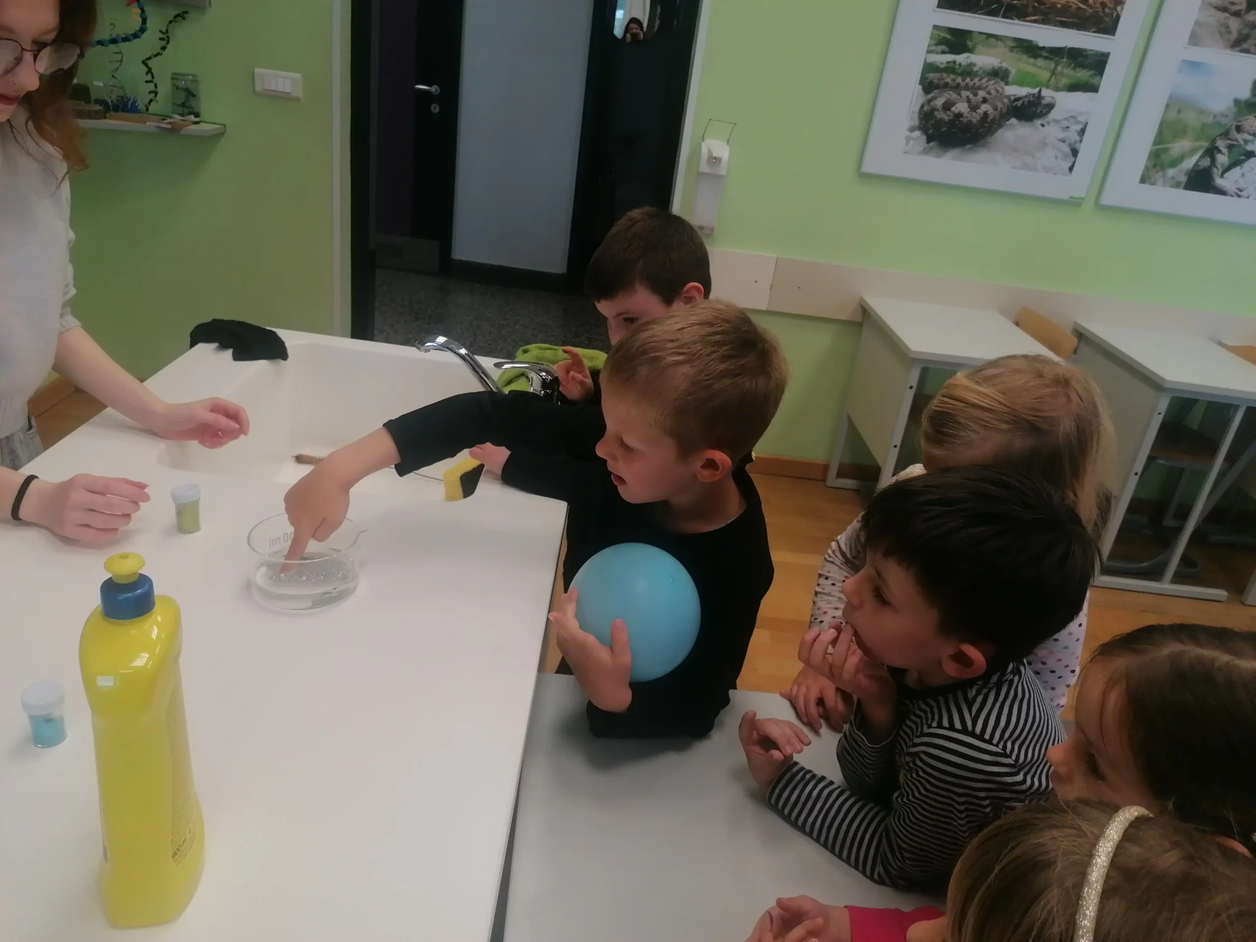 DV Cvrčak Čakovec (8) DV Cvrčak Čakovec (8)