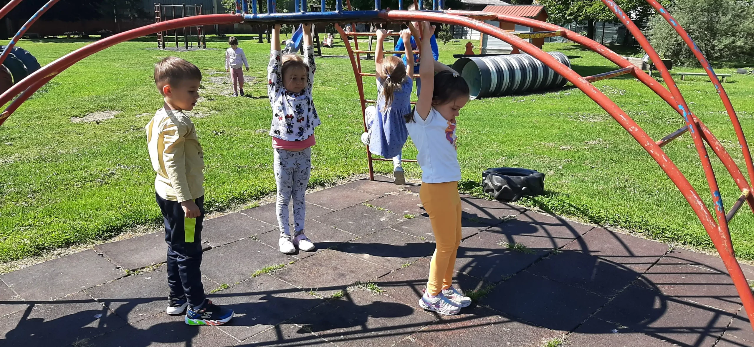 DV Cvrčak e learning (16)