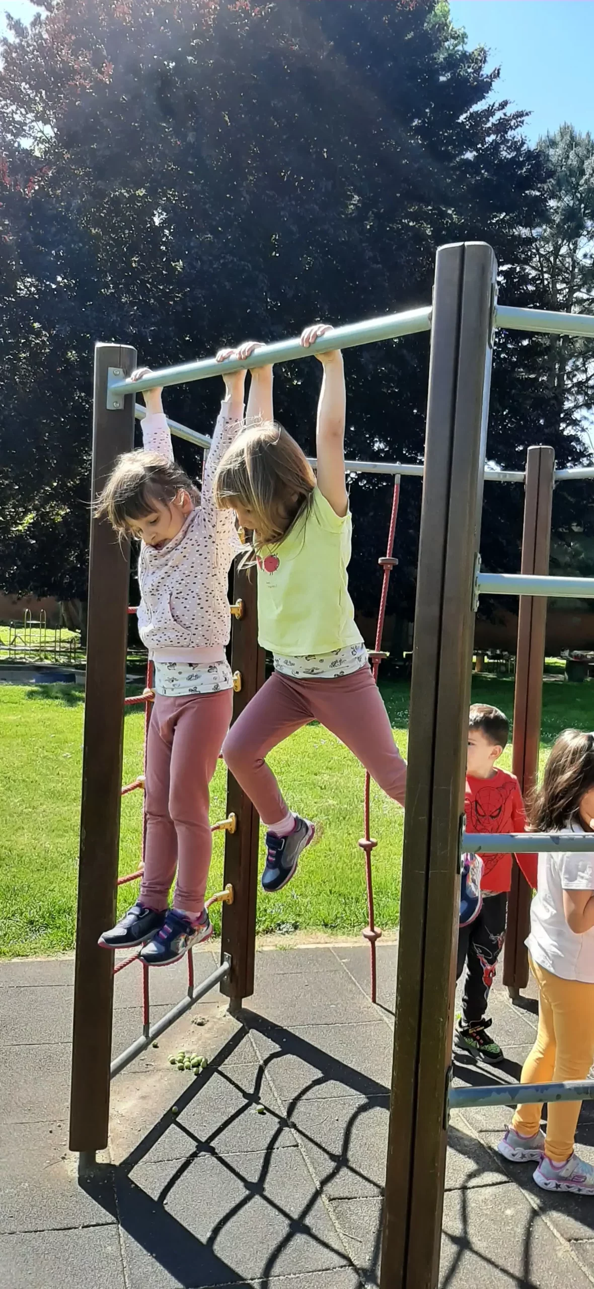 DV Cvrčak e learning (20)