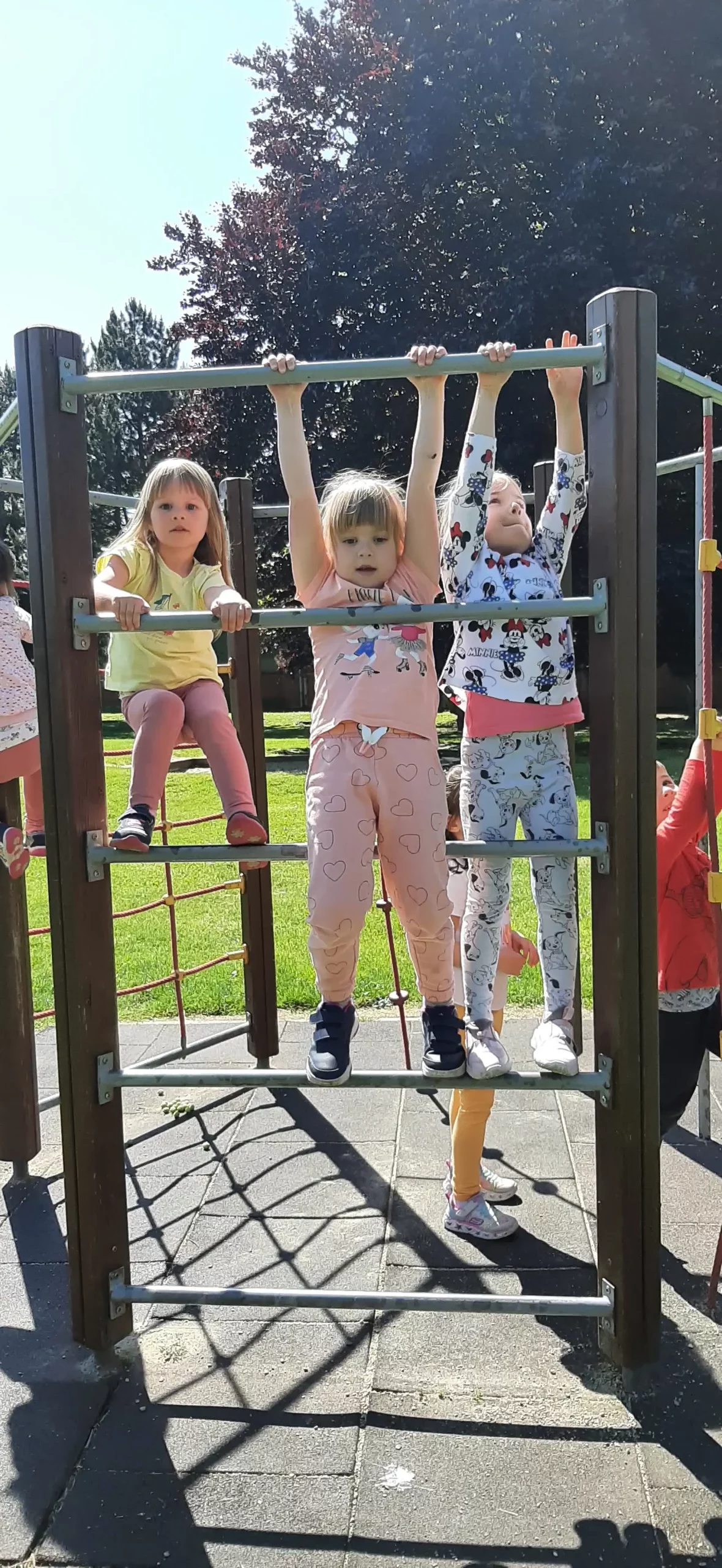 DV Cvrčak e learning (21)