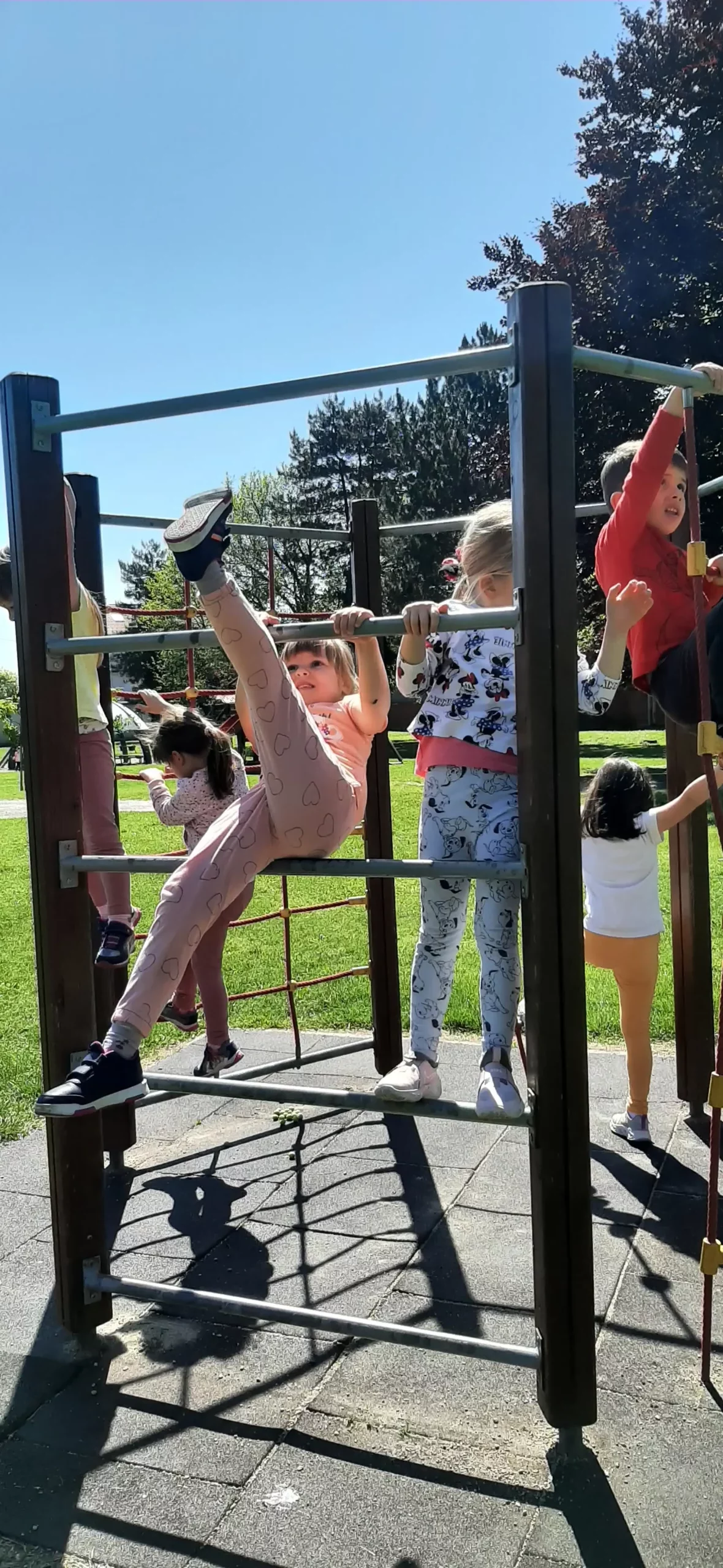 DV Cvrčak e learning (22)