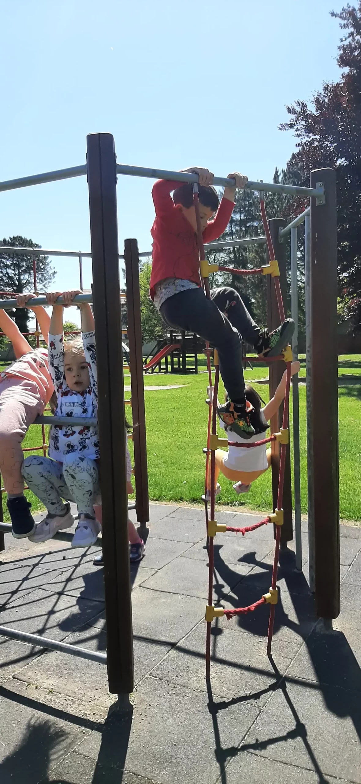 DV Cvrčak e learning (23)