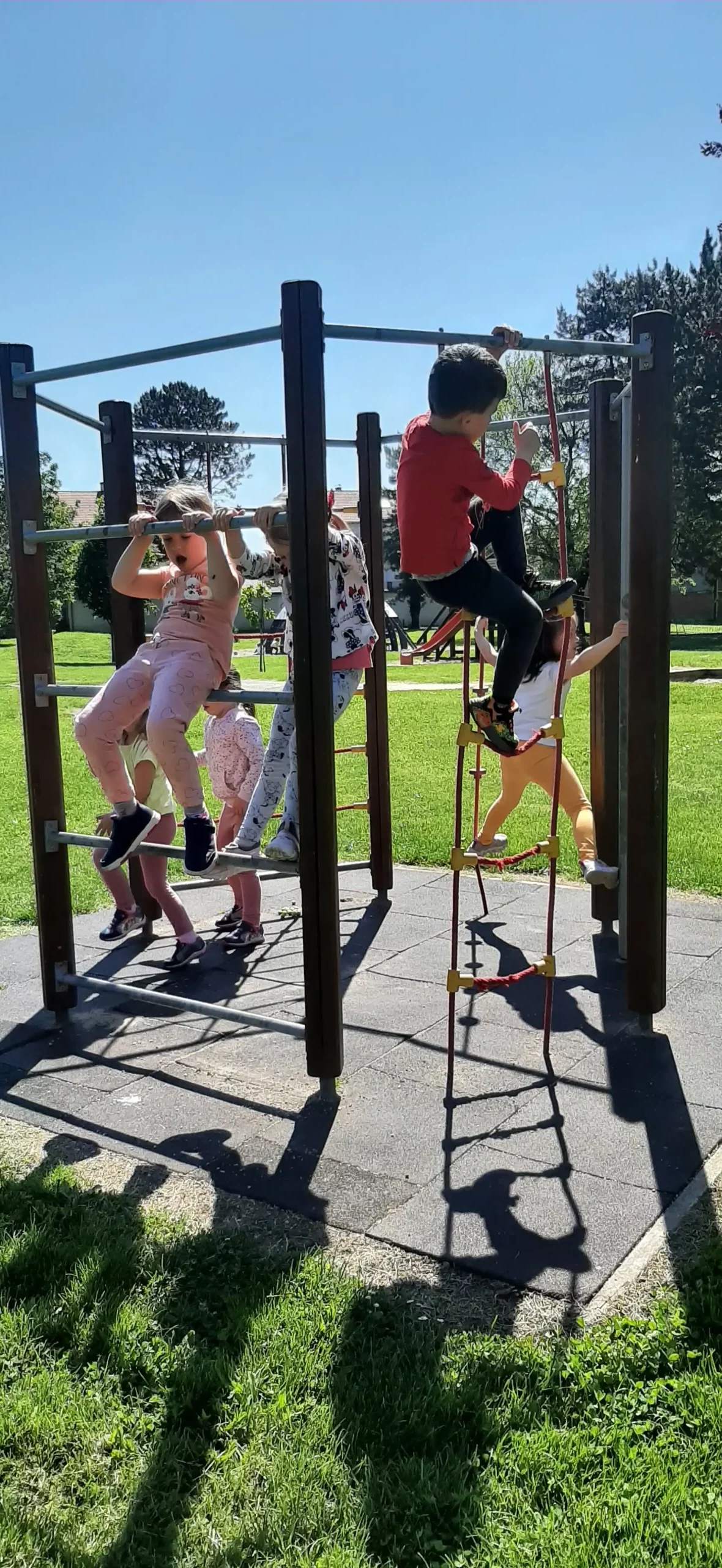 DV Cvrčak e learning (24)