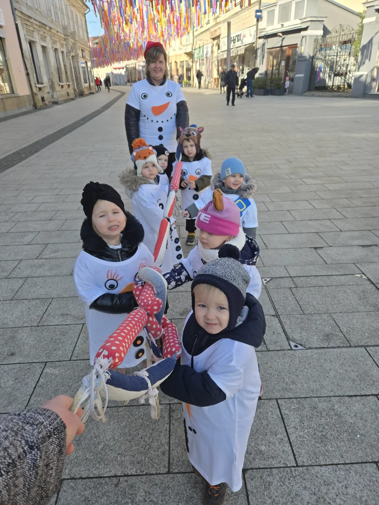 DV Cvrčak snjegović (8)