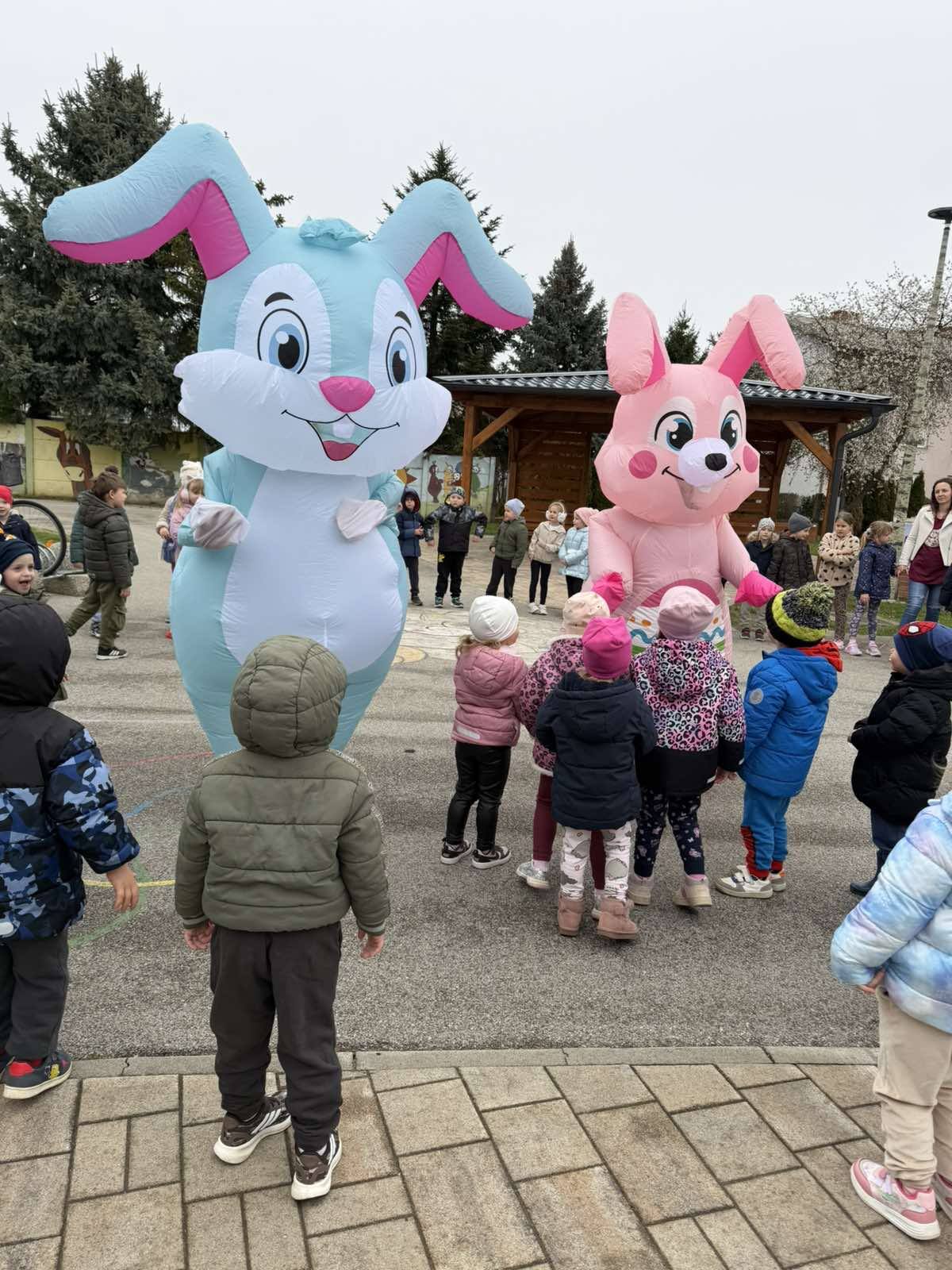 DV Fijolica Prelog (14) DV Fijolica Prelog (14)