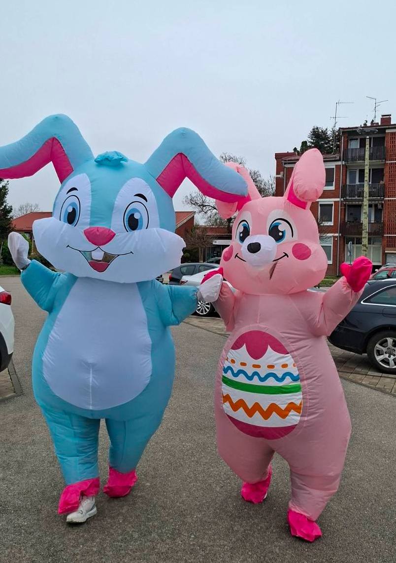 DV Fijolica Prelog (17) DV Fijolica Prelog (17)