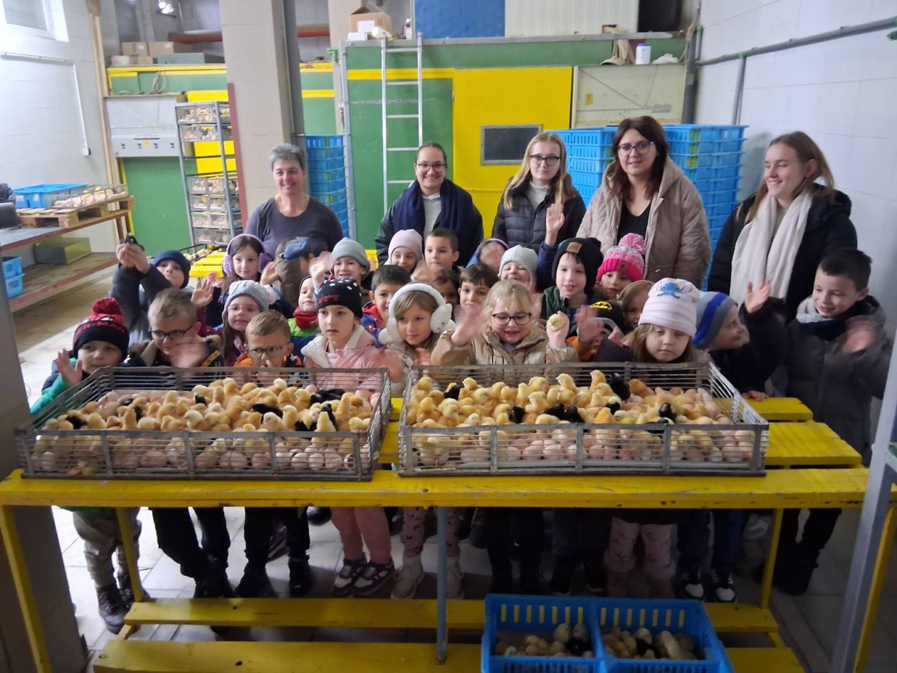 DV Kotoriba skupina Zečići valionica Fabić izlet (1) DV Kotoriba skupina Zečići valionica Fabić izlet (1)