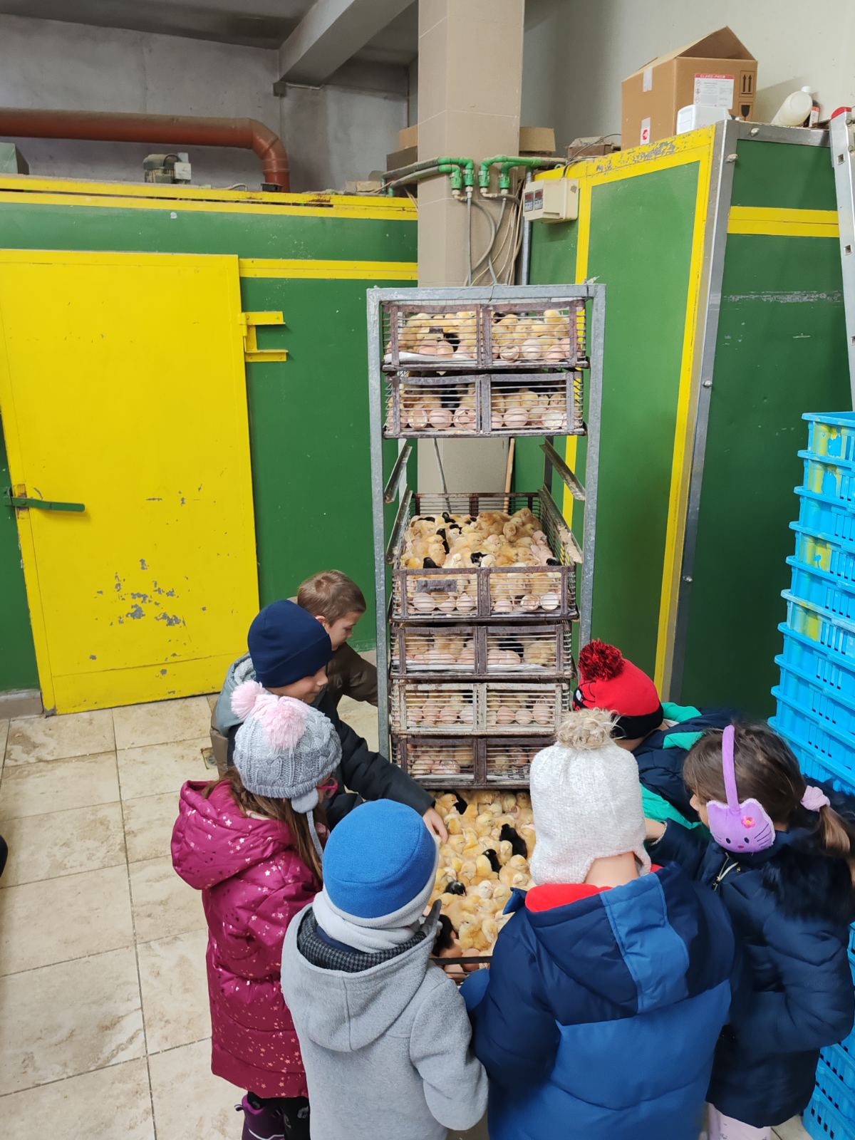 DV Kotoriba skupina Zečići valionica Fabić izlet (10) DV Kotoriba skupina Zečići valionica Fabić izlet (10)