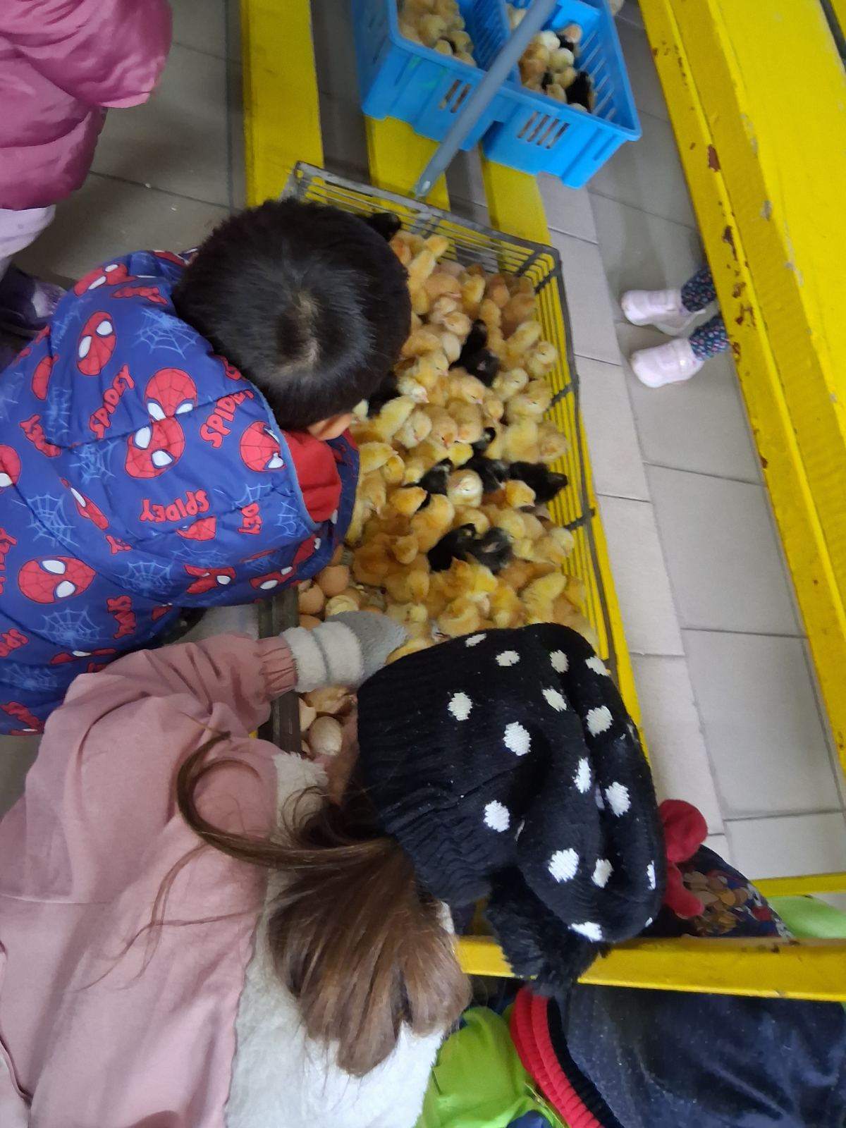 DV Kotoriba skupina Zečići valionica Fabić izlet (11) DV Kotoriba skupina Zečići valionica Fabić izlet (11)