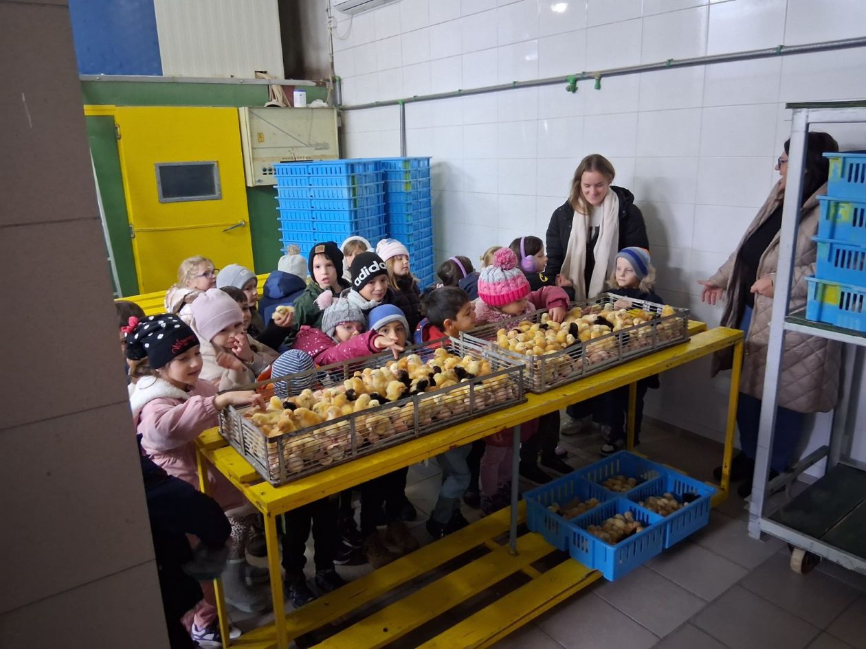 DV Kotoriba skupina Zečići valionica Fabić izlet (13) DV Kotoriba skupina Zečići valionica Fabić izlet (13)