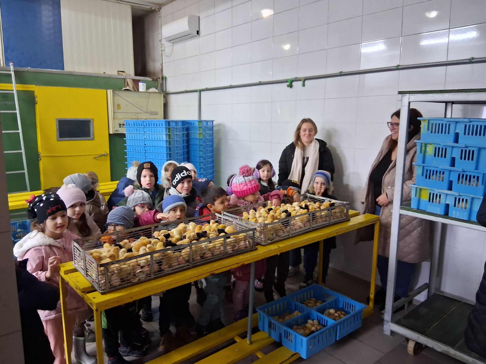 DV Kotoriba skupina Zečići valionica Fabić izlet (14) DV Kotoriba skupina Zečići valionica Fabić izlet (14)