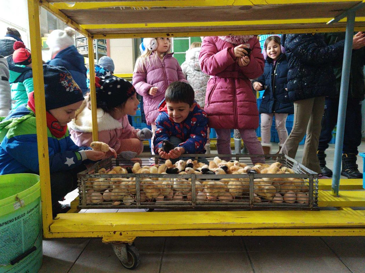 DV Kotoriba skupina Zečići valionica Fabić izlet (2) DV Kotoriba skupina Zečići valionica Fabić izlet (2)