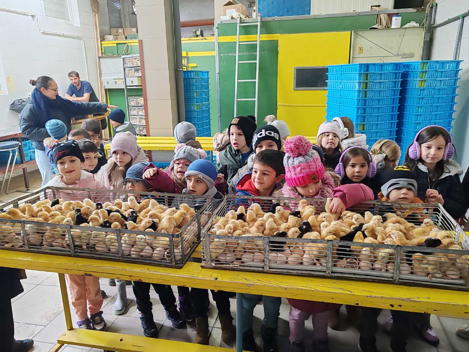 DV Kotoriba skupina Zečići valionica Fabić izlet (3) DV Kotoriba skupina Zečići valionica Fabić izlet (3)