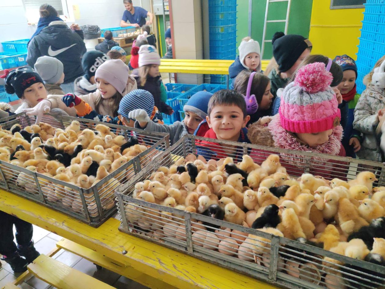 DV Kotoriba skupina Zečići valionica Fabić izlet (4) DV Kotoriba skupina Zečići valionica Fabić izlet (4)