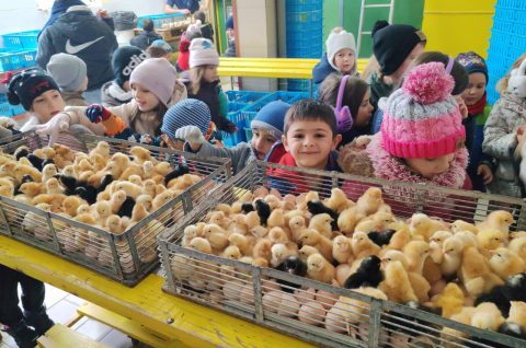 DV Kotoriba skupina Zečići valionica Fabić izlet (4) DV Kotoriba skupina Zečići valionica Fabić izlet (4)