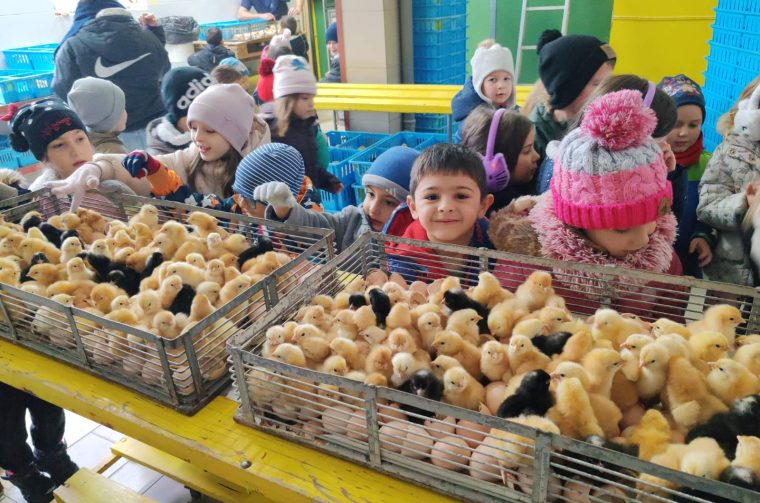 DV Kotoriba skupina Zečići valionica Fabić izlet (4)