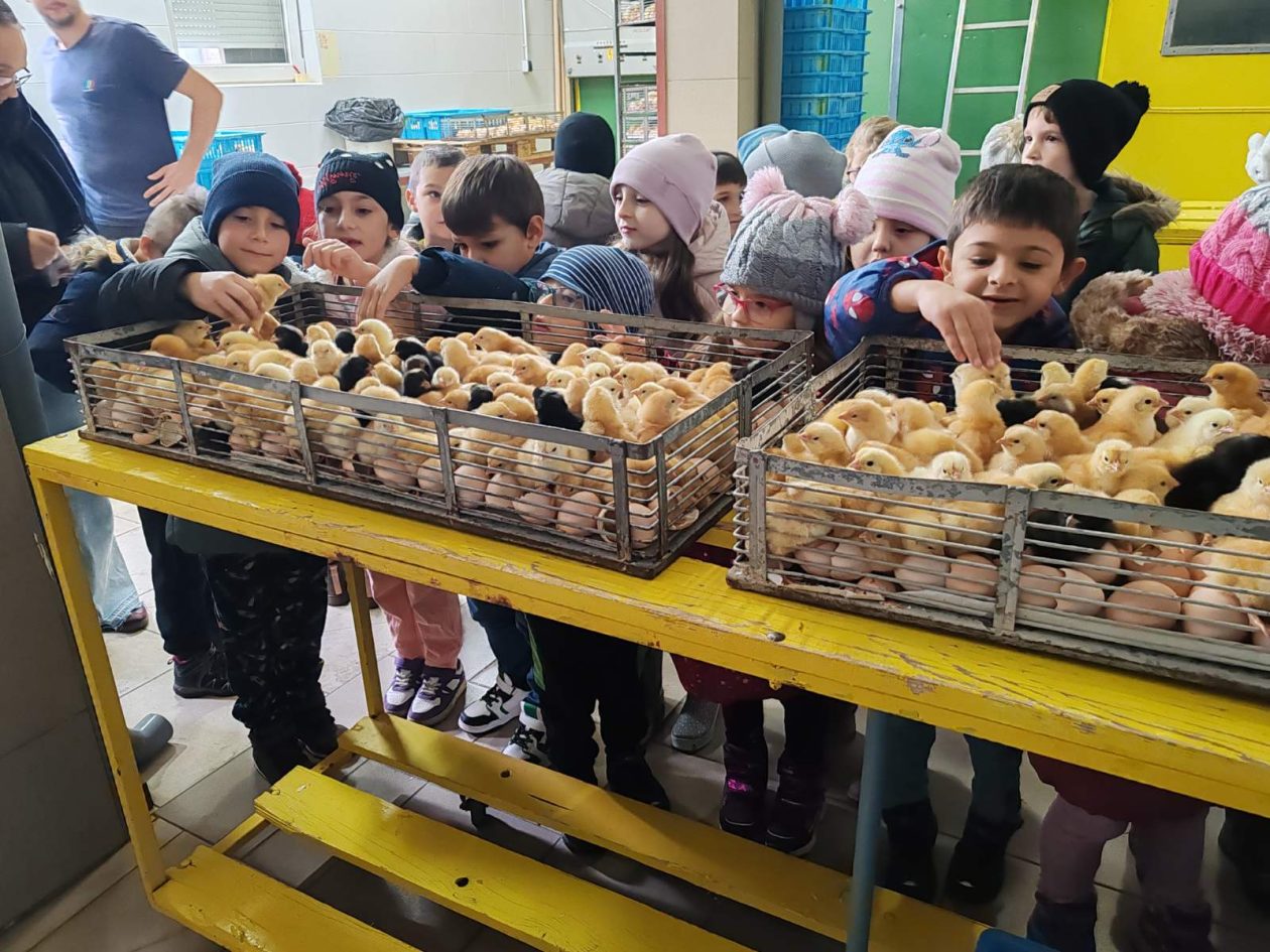 DV Kotoriba skupina Zečići valionica Fabić izlet (7) DV Kotoriba skupina Zečići valionica Fabić izlet (7)