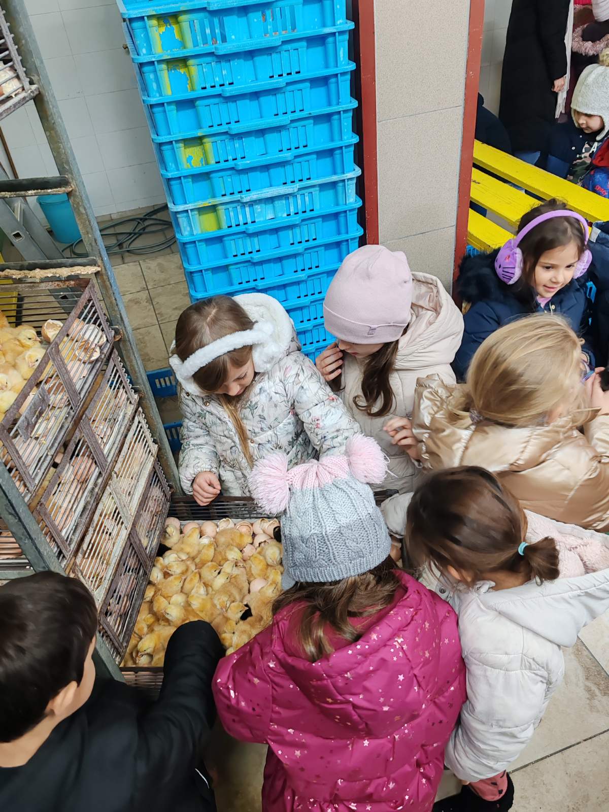 DV Kotoriba skupina Zečići valionica Fabić izlet (8) DV Kotoriba skupina Zečići valionica Fabić izlet (8)