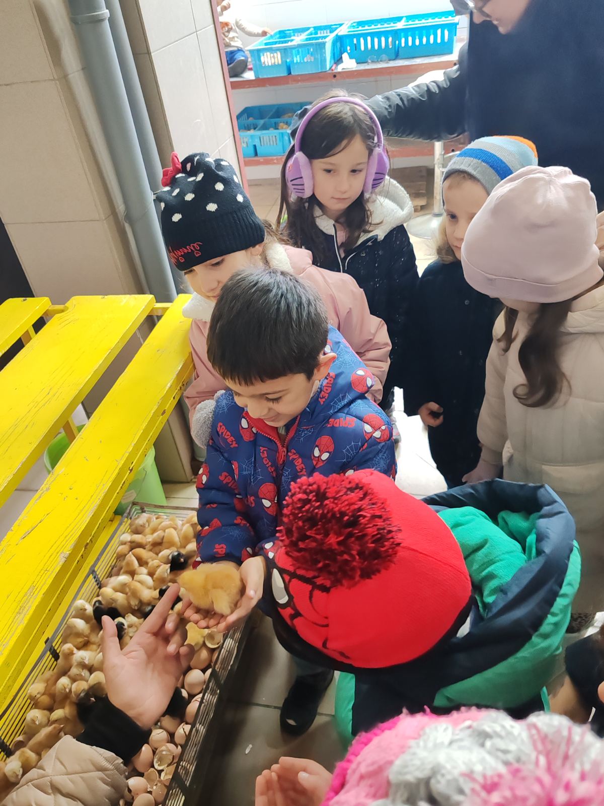 DV Kotoriba skupina Zečići valionica Fabić izlet (9) DV Kotoriba skupina Zečići valionica Fabić izlet (9)