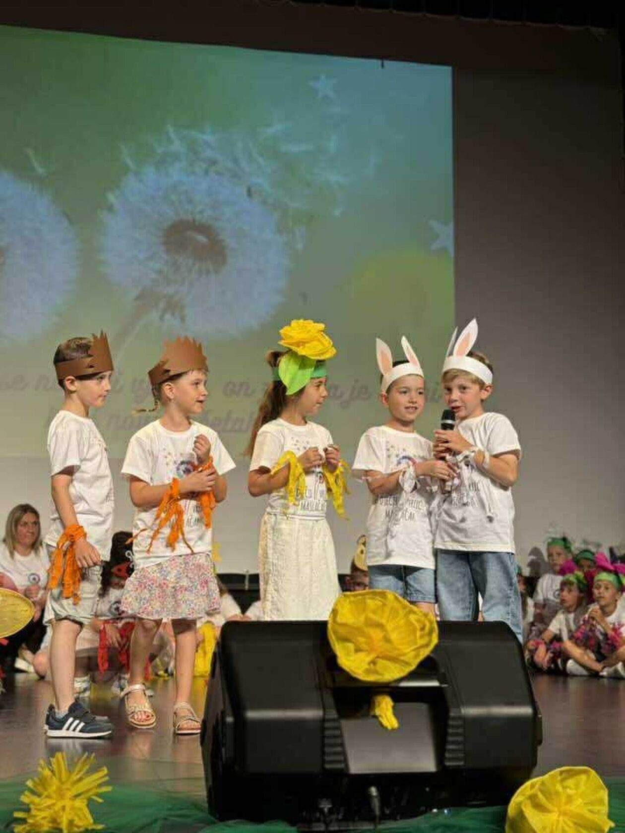 DV Maslačak Mursko Središće završna 2025