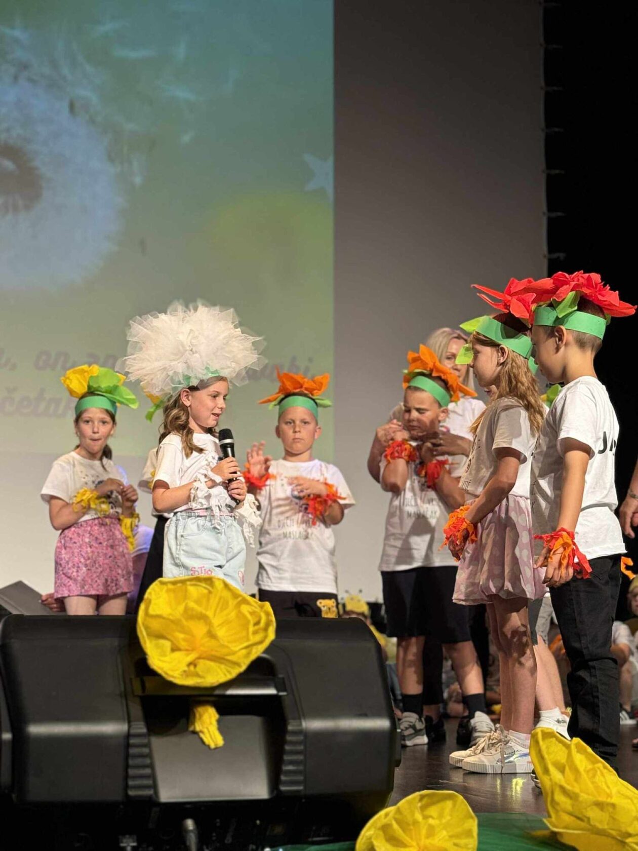 DV Maslačak Mursko Središće završna 2025