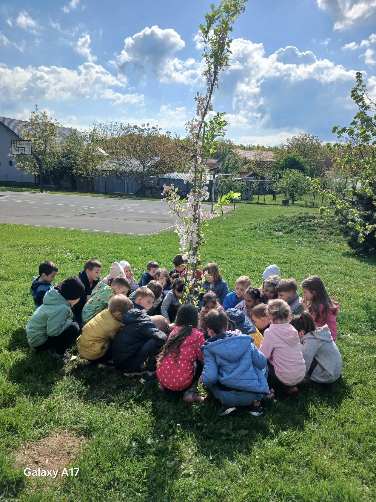 DV Mrav maslačak Mačkovec (1)