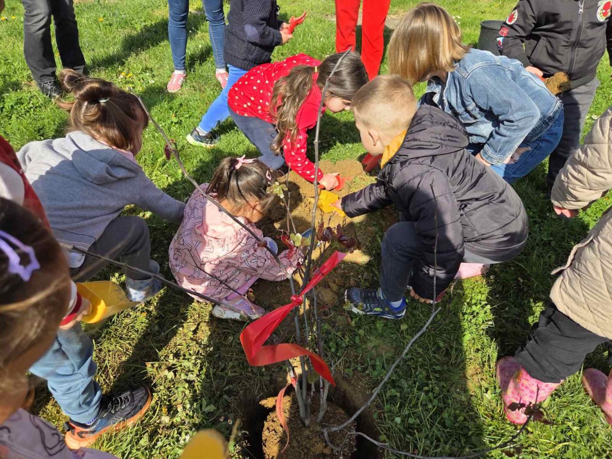 DV Mrav maslačak Mačkovec (4)