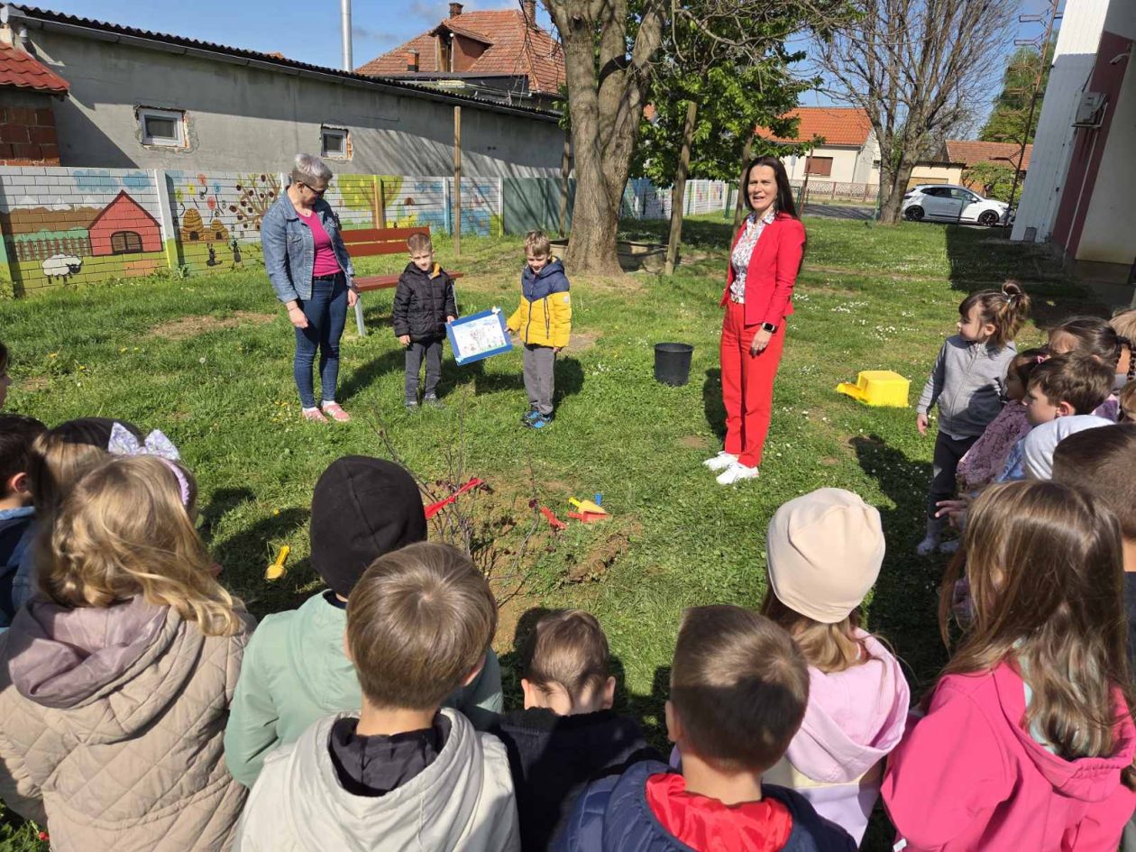 DV Mrav maslačak Mačkovec (5)